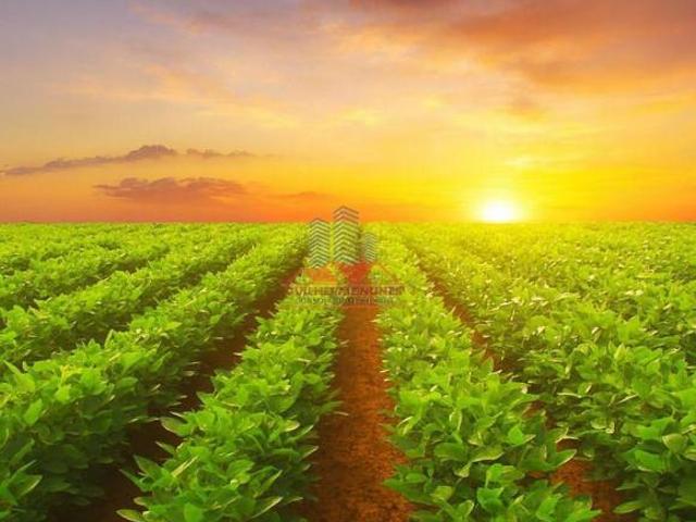 Sítio e chácara venda em Região Geográfica Imediata de Confresa - Vila Rica, São Felix do Araguaia