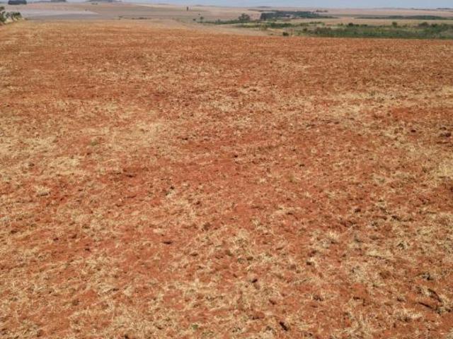 Sítio e chácara venda em Planaltina, Região Geográfica Intermediária do Distrito Federal