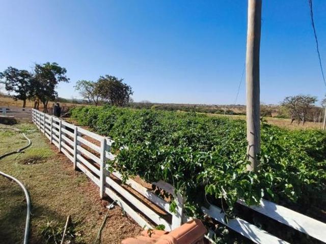 Sítio e chácara venda em Mascarenhas, Curvelo