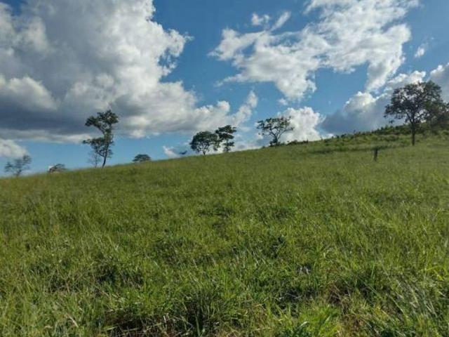 Sítio e chácara venda em Região Geográfica Imediata de Curvelo, Curvelo