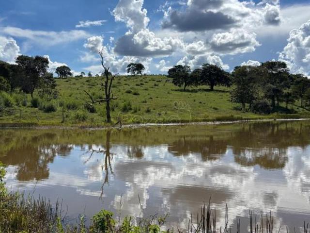Sítio e chácara venda em Região Geográfica Imediata de Goiás - Itapuranga, Itapuranga