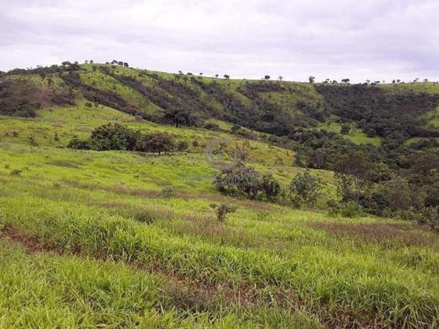 Sítio e chácara venda em Região Geográfica Imediata de Águas Lindas de Goiás, Região Integrada de Desenvolvimento do Distrito Federal e Entorno