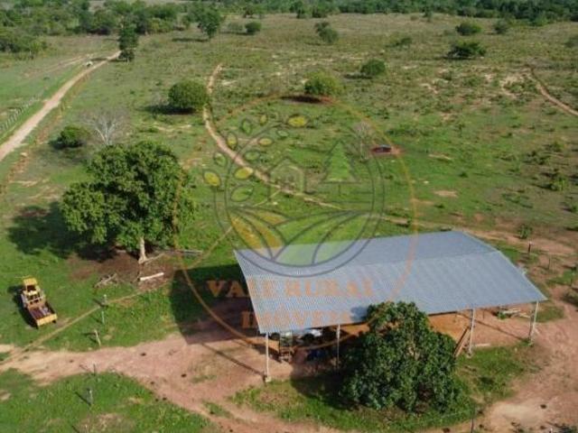Sítio e chácara venda em Região Geográfica Imediata de Goiânia, Goiânia
