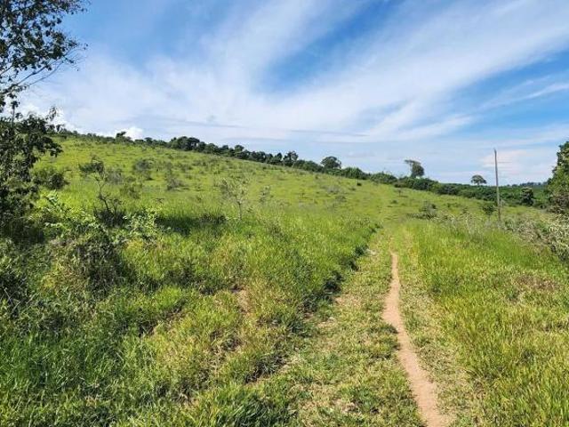 Sítio e chácara venda em Região Geográfica Imediata de Três Corações, Campanha