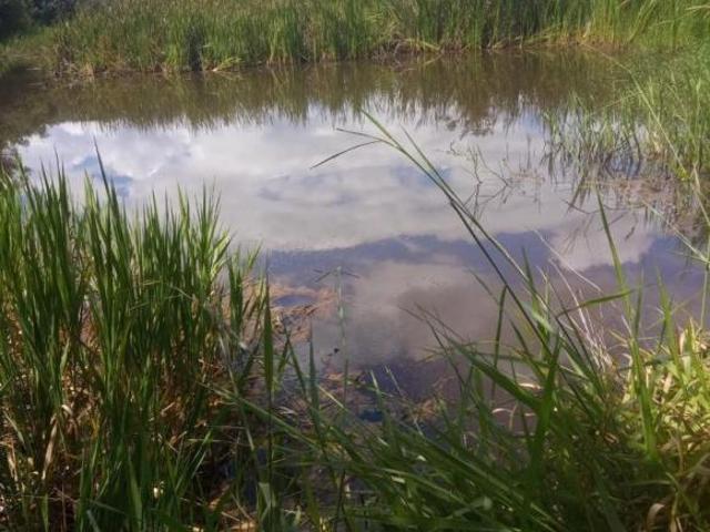 Sítio e chácara venda em Região Geográfica Imediata de Sete Lagoas, Cachoeira da Prata