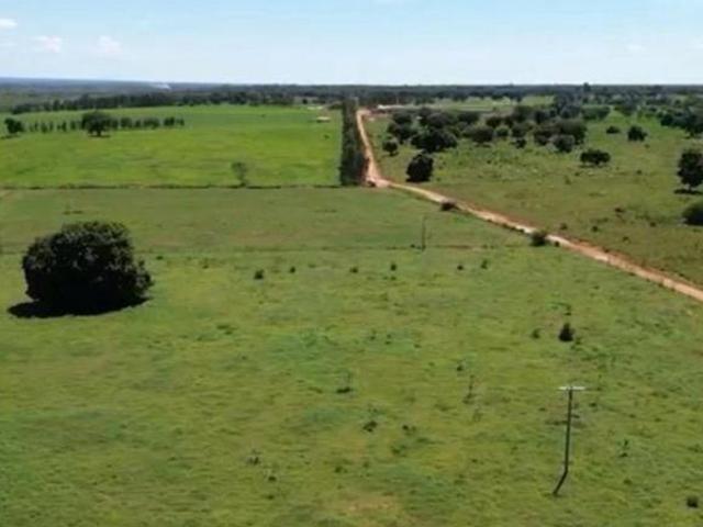 Sítio e chácara venda em Região Geográfica Imediata de São Francisco, São Francisco