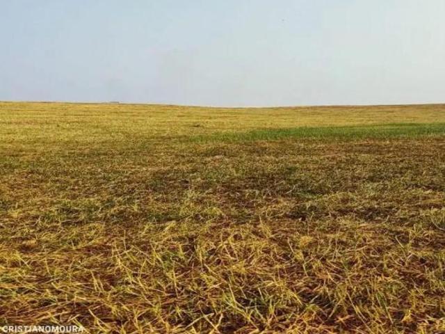 Sítio e chácara venda em Região Geográfica Imediata de Pirapora, Pirapora