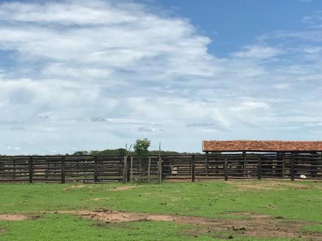 Sítio e chácara venda em Região Geográfica Imediata de Janaúba, Janaúba