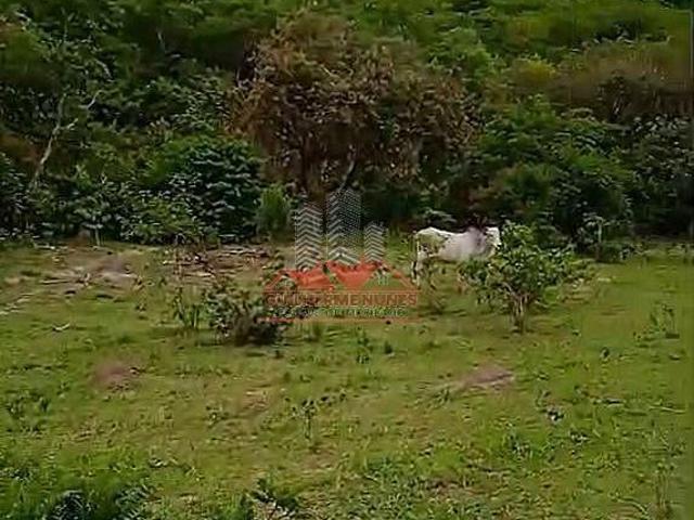 Sítio e chácara venda em Pedra Azul, Região Sudeste