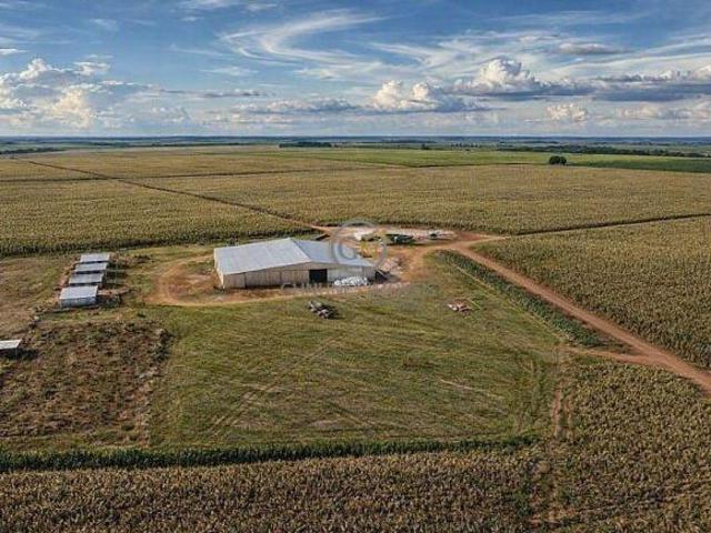 Sítio e chácara venda em Rio Verde de Mato Grosso, Região Geográfica Intermediária de Campo Grande