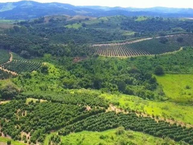 Sítio e chácara venda em Região Imediata de São José do Rio Pardo-Mococa, Caconde