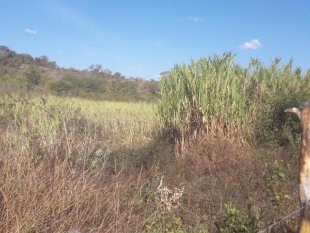 Sítio e chácara venda em Francisco Sá, Região Geográfica Intermediária de Montes Claros