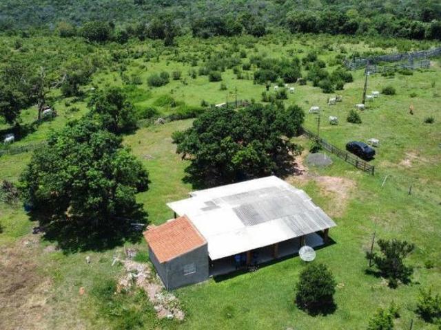 Sítio e chácara venda em Região Geográfica Imediata de Campo Grande, Corguinho