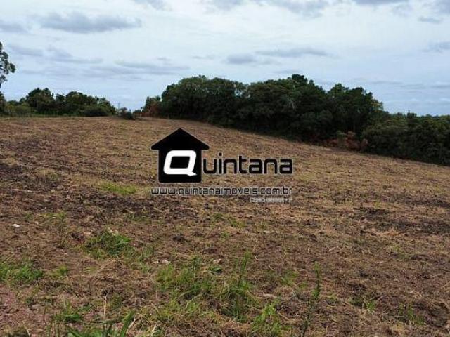 Sítio e chácara venda em Região Geográfica Imediata de Camaquã, Sentinela do Sul