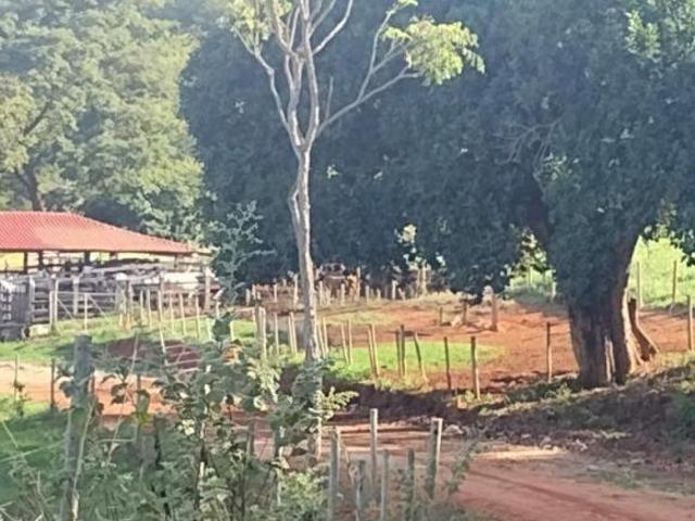 Sítio e chácara venda em Resplendor, Região Sudeste