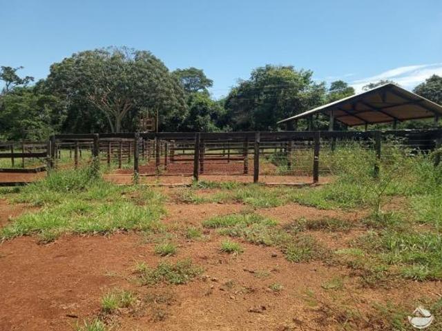 Sítio e chácara venda em Região Geográfica Imediata de Uberlândia, Oliveira Fortes