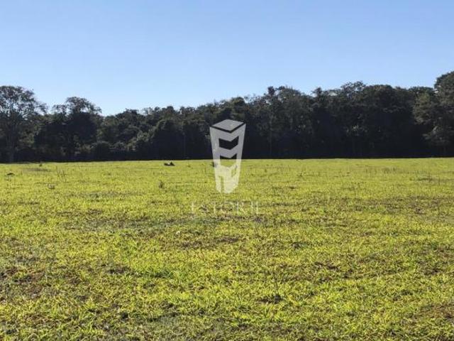 Sítio e chácara venda em Região Imediata de Avaré, Avaré