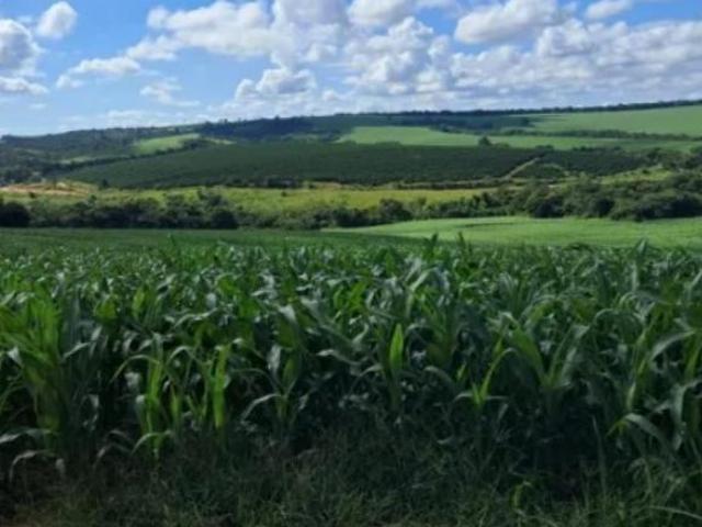 Sítio e chácara venda em Região Geográfica Imediata de Campo Belo, Cristais