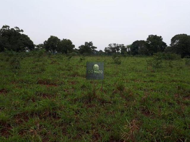 Sítio e chácara venda em Região Geográfica Imediata de Campo Grande, Dois Irmãos do Buriti