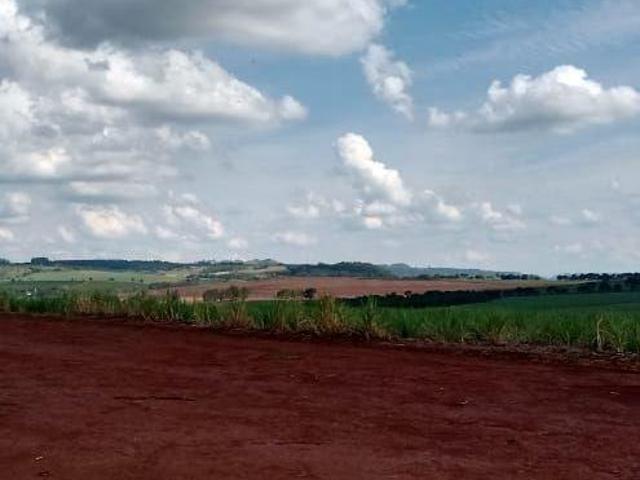 Sítio e chácara venda em Região Imediata de Ribeirão Preto, Região Metropolitana de Ribeirão Preto