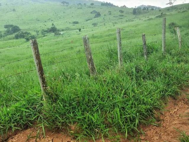 Sítio e chácara venda em Região Geográfica Imediata de São Lourenço, Carmo de Minas