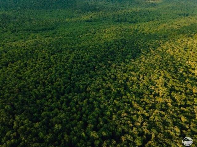 Sítio e chácara venda em Região Geográfica Imediata de Confresa - Vila Rica, Santa Terezinha