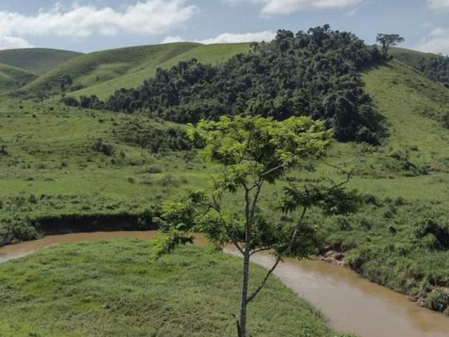 Sítio e chácara venda em Região Imediata de Cruzeiro, Região Metropolitana do Vale do Paraíba e Litoral Norte