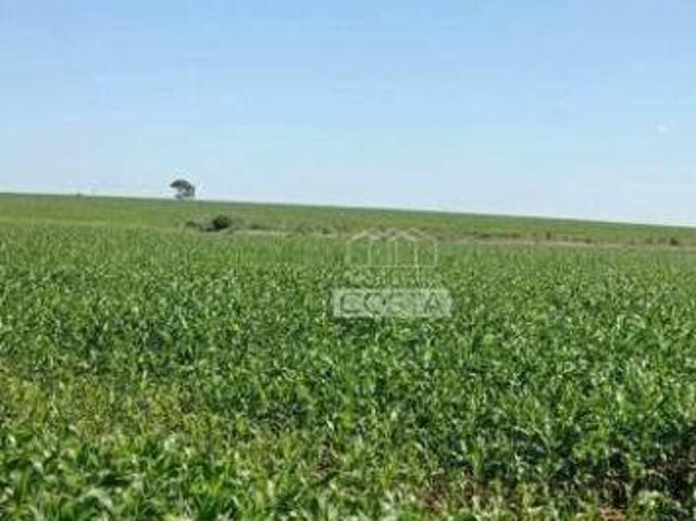 Sítio e chácara venda em Região Geográfica Imediata de Umuarama, Região Metropolitana de Umuarama