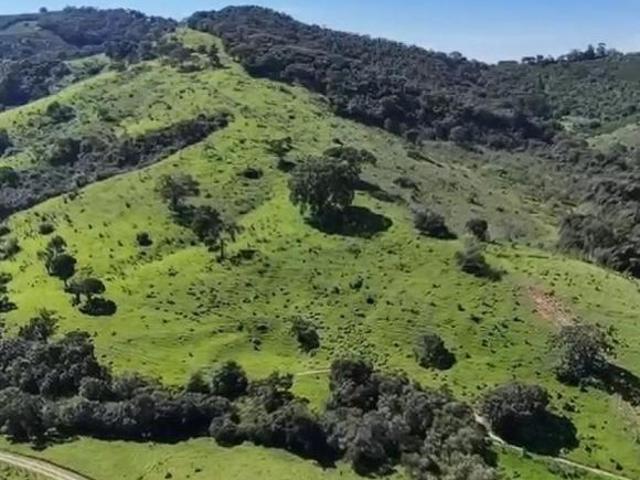 Sítio e chácara venda em Região Geográfica Imediata de Varginha, São Gonçalo do Sapucaí