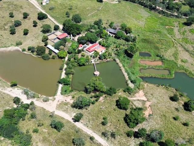 Sítio e chácara venda em Região Geográfica Imediata de Águas Lindas de Goiás, Região Integrada de Desenvolvimento do Distrito Federal e Entorno