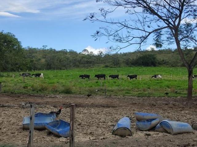 Sítio e chácara venda em Região Geográfica Imediata de Curvelo, Corinto