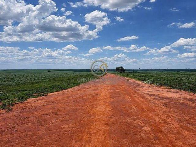 Sítio e chácara venda em Região Geográfica Imediata de Naviraí - Mundo Novo, Naviraí