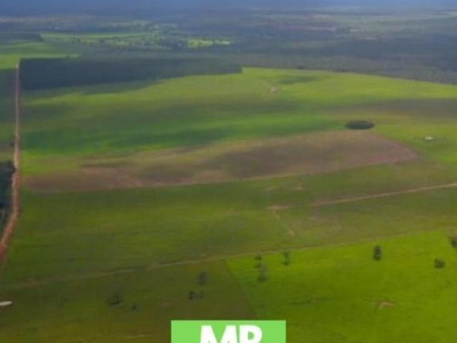 Sítio e chácara venda em Região Geográfica Imediata de Primavera do Leste, Primavera do Leste