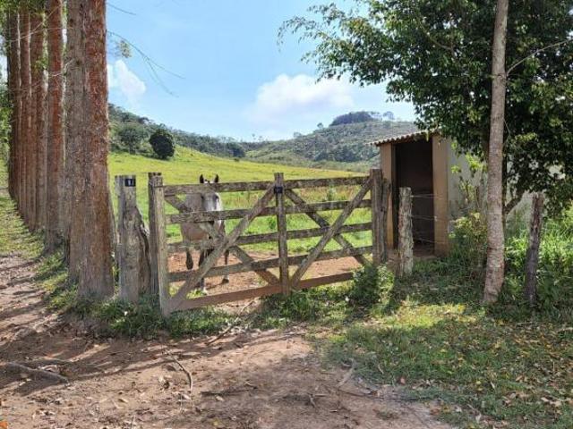 Sítio e chácara venda em Região Geográfica Imediata de Itabira, Itabira