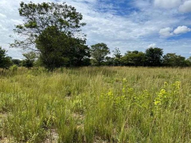 Sítio e chácara venda em Região Geográfica Imediata de Curvelo, Augusto de Lima