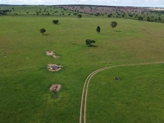 Sítio e chácara venda em Região Geográfica Imediata de Jaciara, Juscimeira