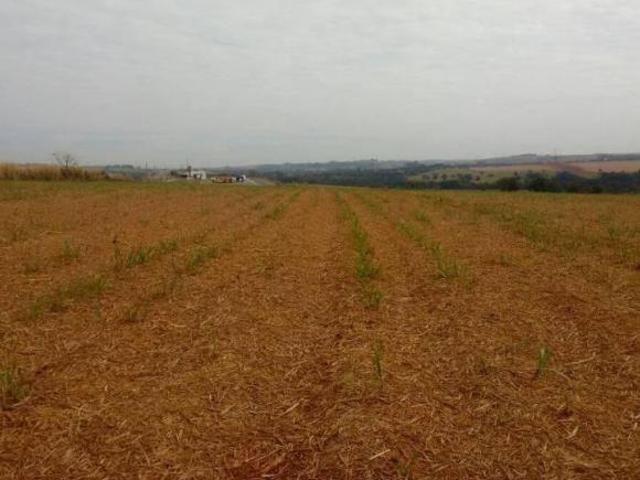 Sítio e chácara venda em Região Imediata de Tatuí, Região Metropolitana de Sorocaba