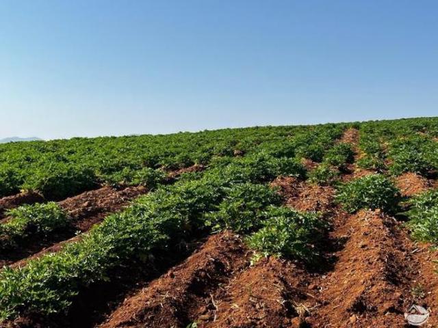 Sítio e chácara venda em Região Geográfica Imediata de Pouso Alegre, São Sebastião da Bela Vista