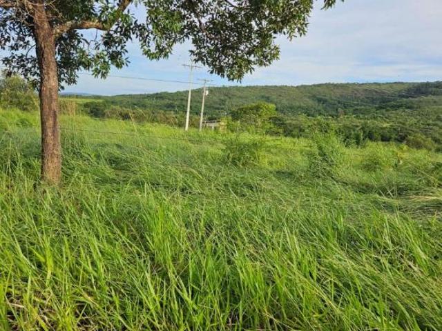 Sítio e chácara venda em Região Geográfica Imediata de Curvelo, Felixlândia