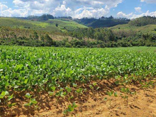 Sítio e chácara venda em Região Geográfica Imediata de Belo Horizonte, Região Metropolitana de Belo Horizonte