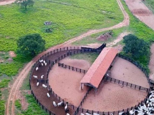 Sítio e chácara venda em Região Geográfica Imediata de Campo Grande, Ribas do Rio Pardo
