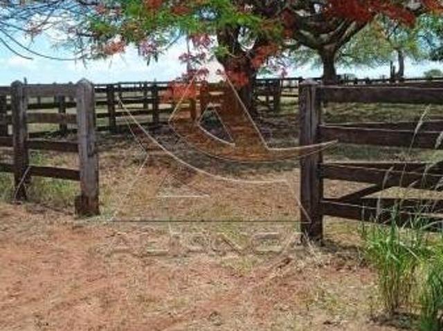 Sítio e chácara venda em Região Imediata de Jales, Jales