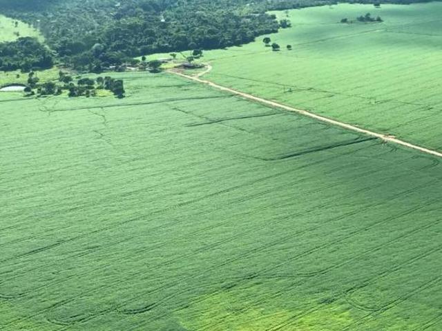 Sítio e chácara venda em Região Geográfica Imediata de Água Boa, Gaúcha do Norte