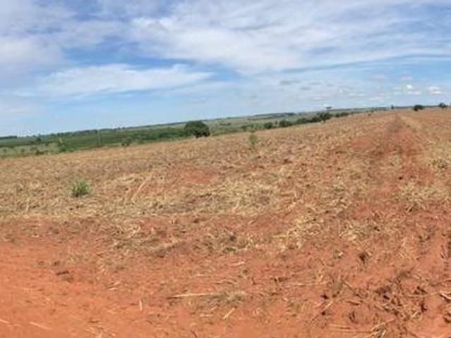 Sítio e chácara venda em Região Imediata de Fernandópolis, Fernandópolis