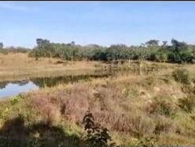 Sítio e chácara venda em Região Geográfica Imediata de Cuiabá, Região Metropolitana do Vale do Rio Cuiabá