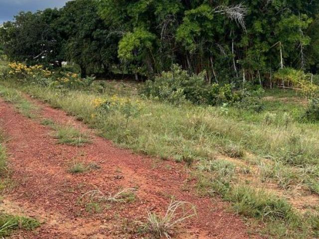 Sítio e chácara venda em Região Geográfica Imediata de Montes Claros, Francisco Sá