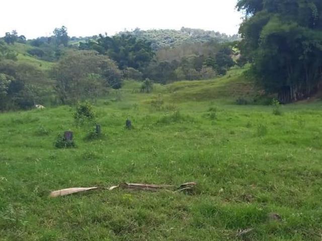 Sítio e chácara venda em Oliveira, Região Geográfica Intermediária de Divinópolis