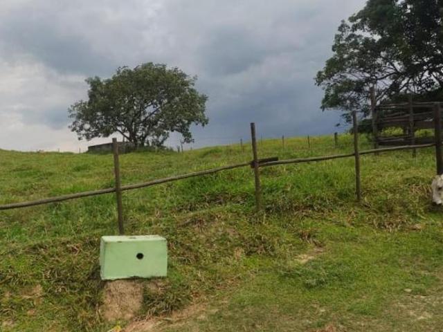 Sítio e chácara venda em Região Geográfica Imediata de Belo Horizonte, Região Metropolitana de Belo Horizonte