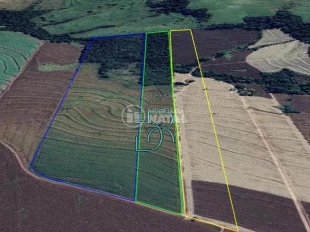 Sítio e chácara venda em Região Geográfica Imediata de Londrina, Alvorada do Sul