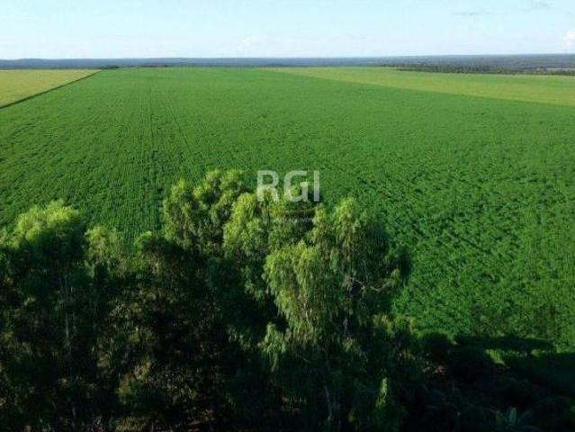 Sítio e chácara venda em Região Geográfica Imediata de Tangará da Serra, Sapezal